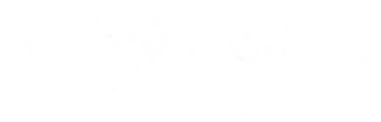 Seven Summit Treks