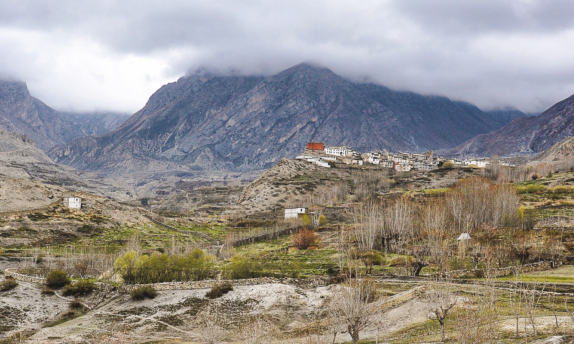 UPPER MUSTANG TREK